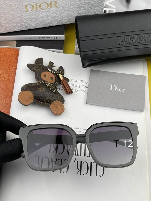 DIOR Sunglasses 386